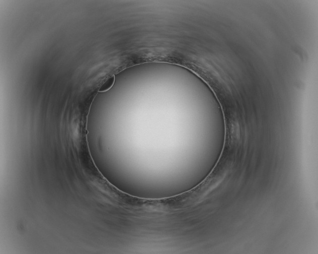 X0000113891250200910081801