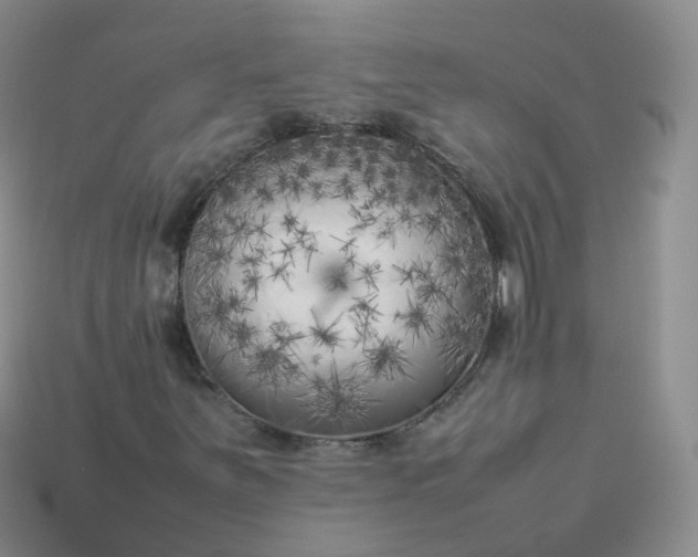 X0000113891251200910081801