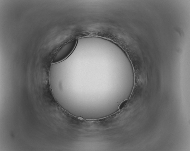 X0000113891253200910081801