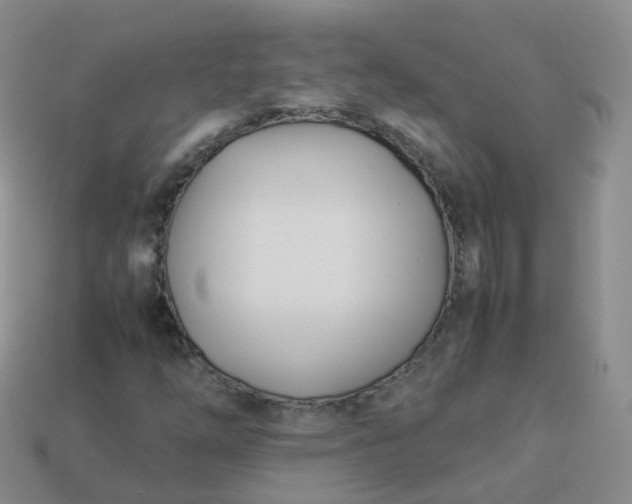 X0000113891254200910081801