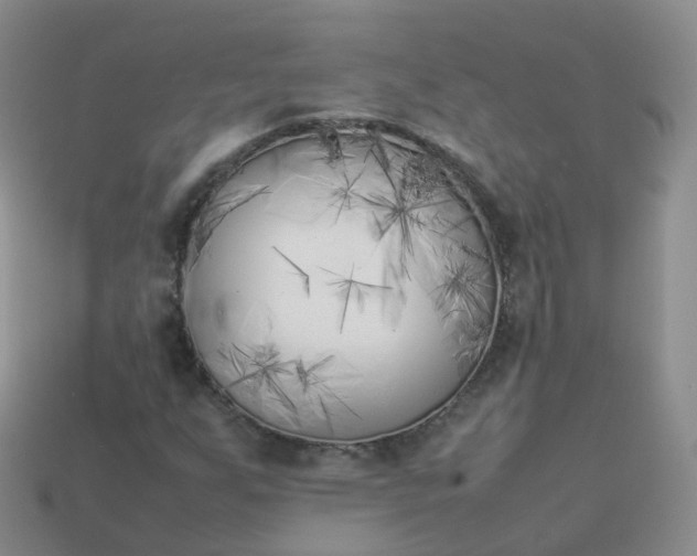 X0000113891255200910081801