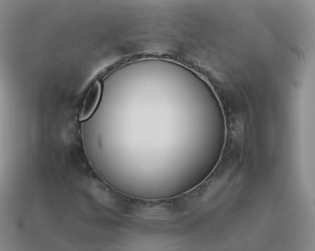 X0000113891256200910081801