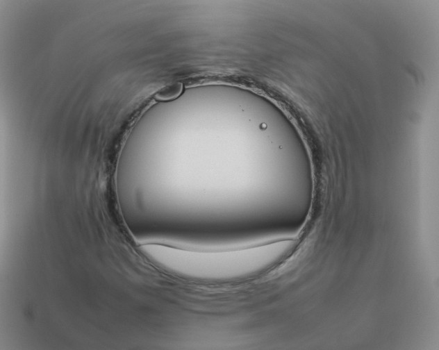 X0000113891257200910081801