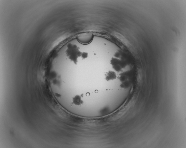 X0000113891258200910081801