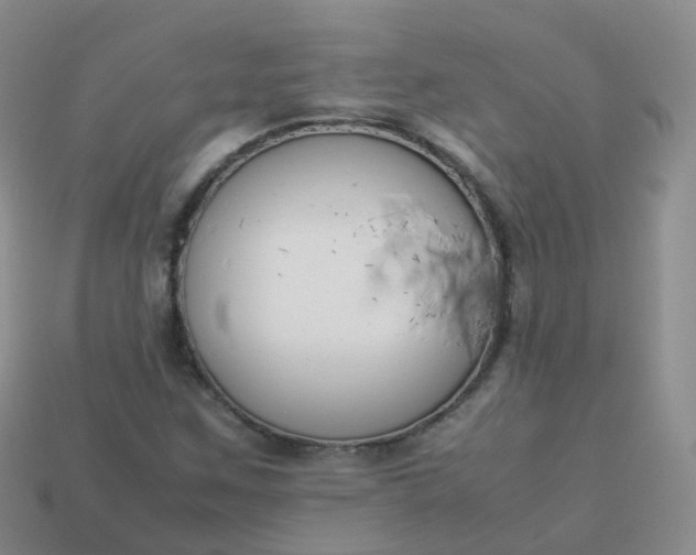 X0000113891259200910081801