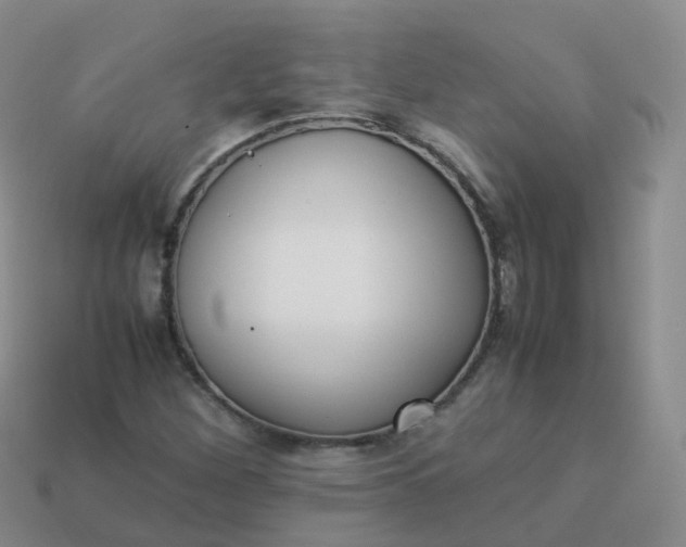 X0000113891260200910081801