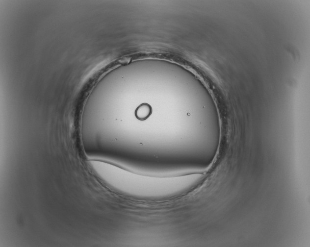 X0000113891261200910081800