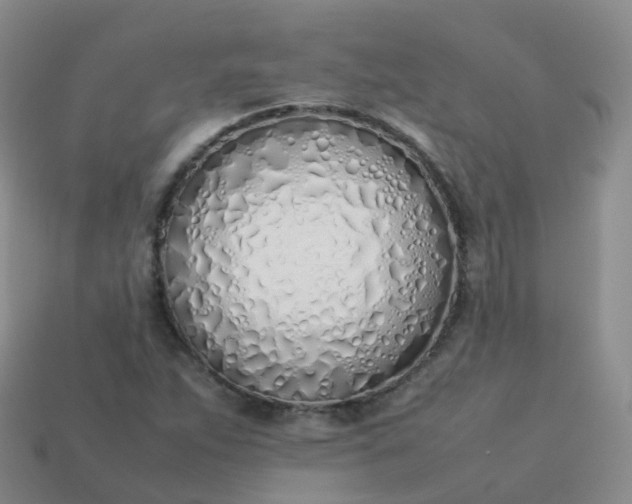 X0000113891263200910081800