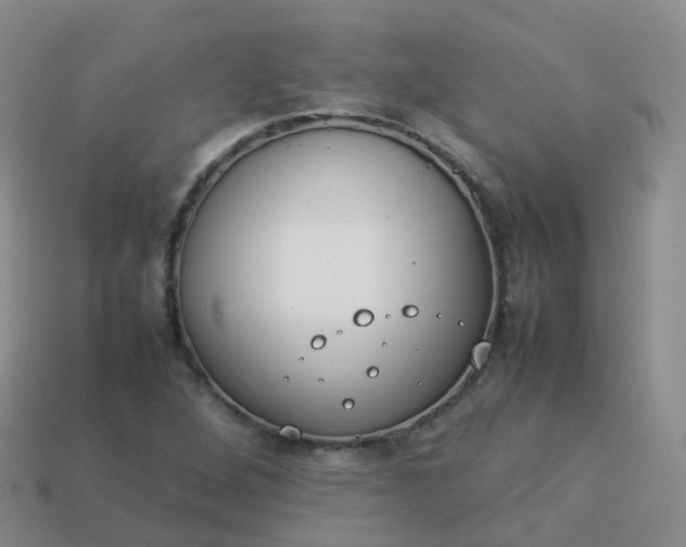 X0000113891264200910081800