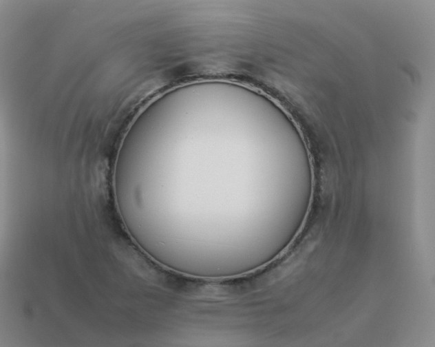 X0000113891265200910081800