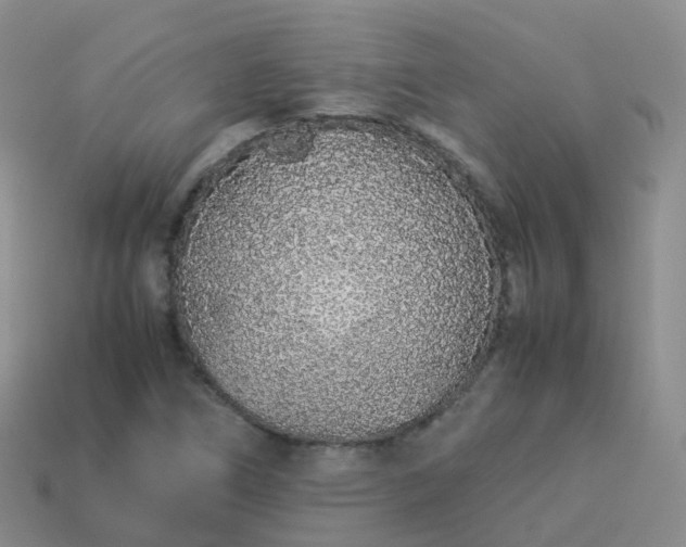 X0000113891266200910081800