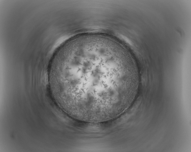 X0000113891267200910081800