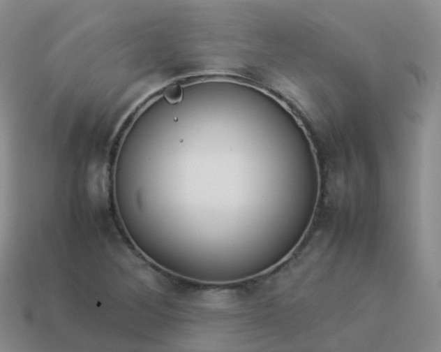 X0000113891268200910081800