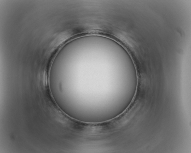 X0000113891269200910081800