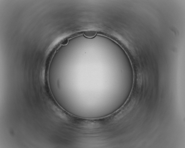 X0000113891270200910081800