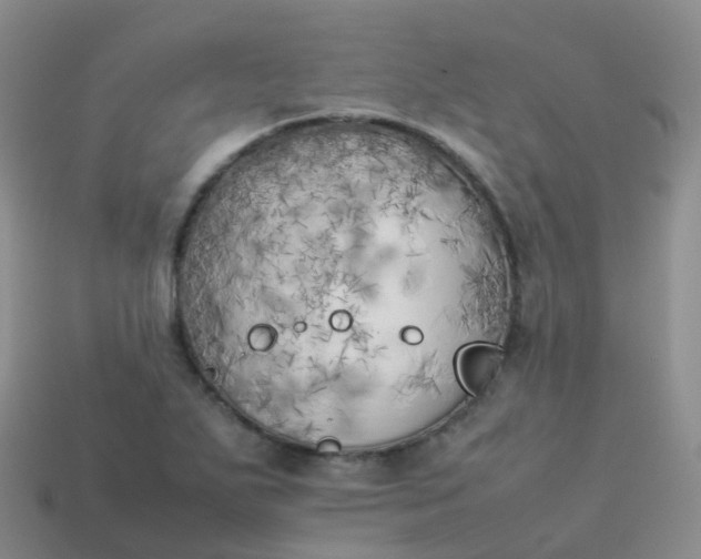 X0000113891271200910081800