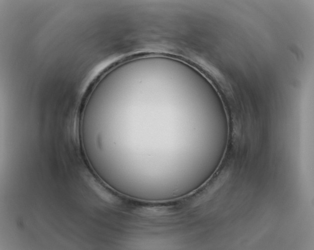 X0000113891272200910081800