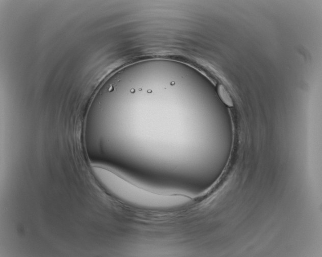 X0000113891273200910081800