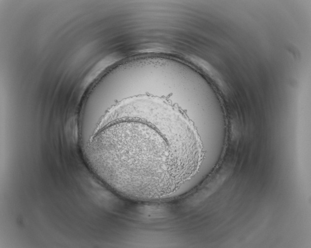 X0000113891274200910081800