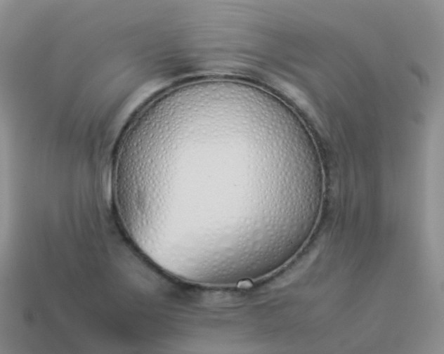 X0000113891275200910081800