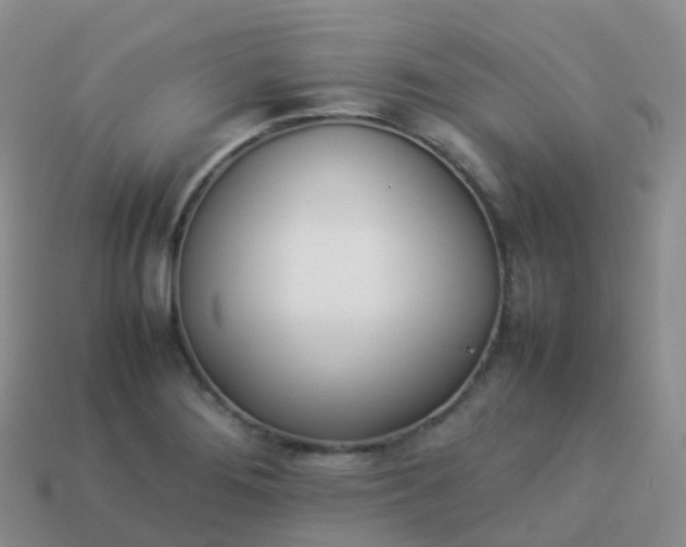 X0000113891276200910081800