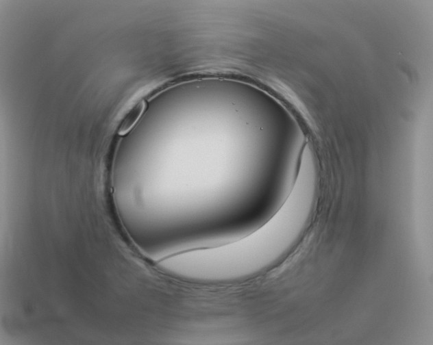 X0000113891277200910081800