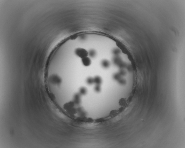 X0000113891278200910081800