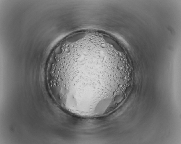 X0000113891279200910081800