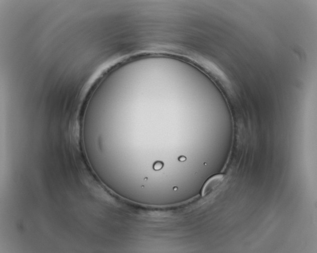 X0000113891280200910081800