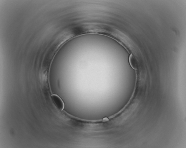 X0000113891281200910081800