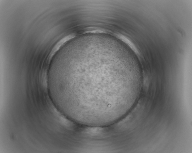 X0000113891282200910081800