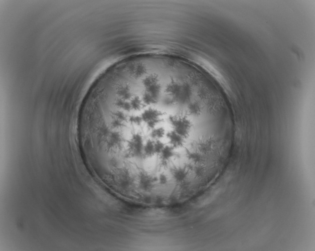 X0000113891283200910081800