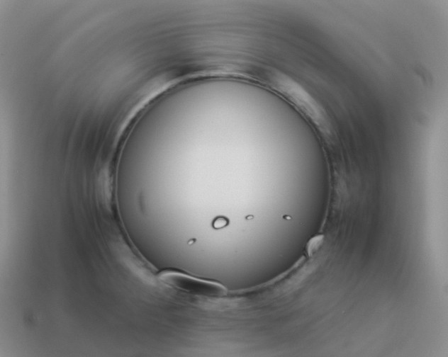 X0000113891284200910081800