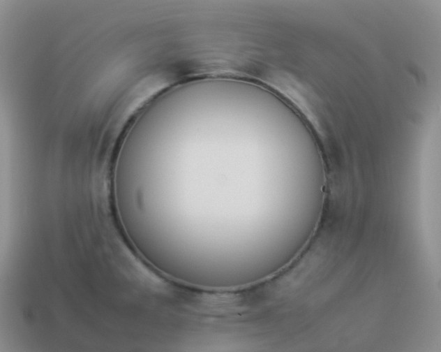 X0000113891285200910081800