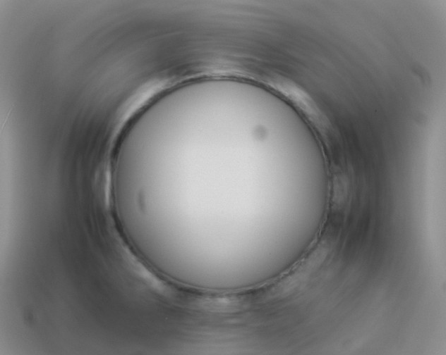 X0000113891286200910081800