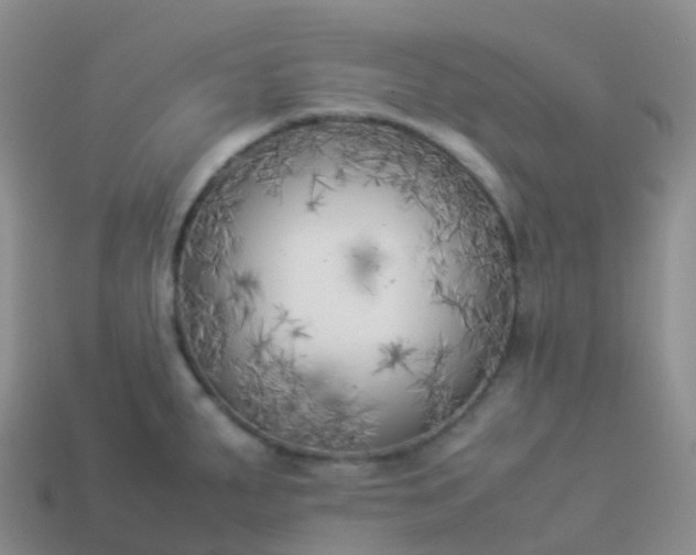 X0000113891287200910081800