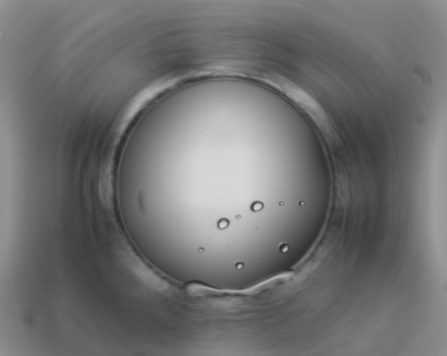 X0000113891288200910081800