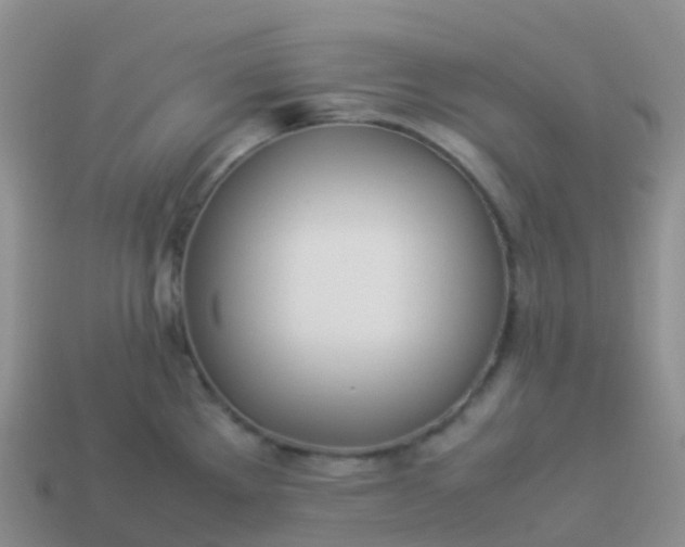 X0000113891289200910081800