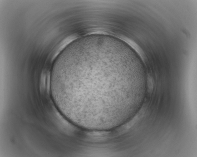 X0000113891290200910081800