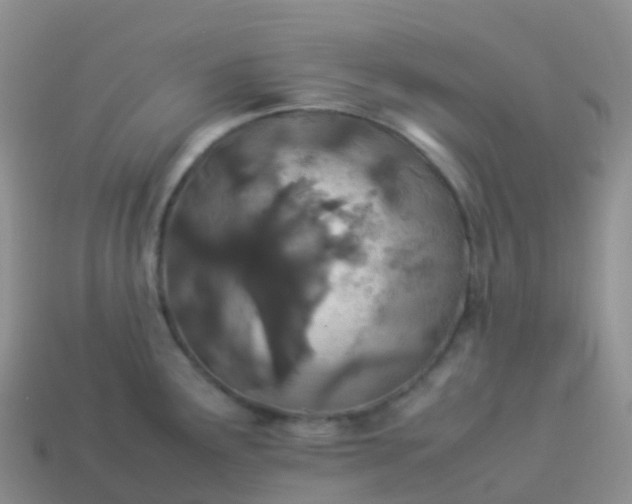 X0000113891291200910081800