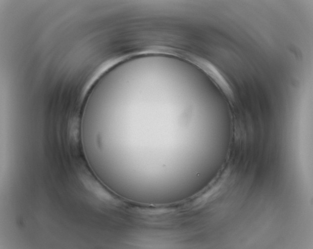 X0000113891292200910081800