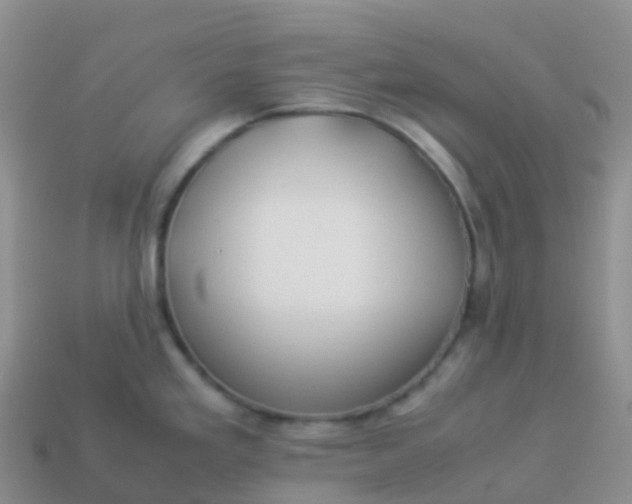 X0000113891293200910081800