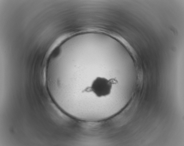 X0000113891294200910081800