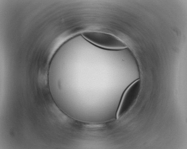 X0000113891296200910081800