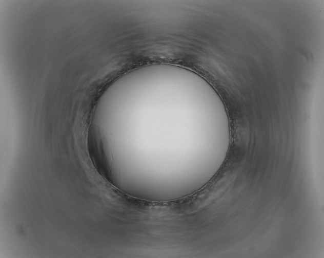 X0000113891297200910081759