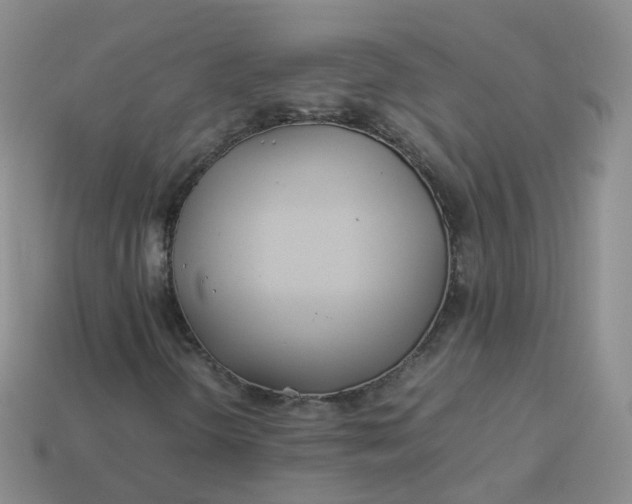 X0000113891298200910081759