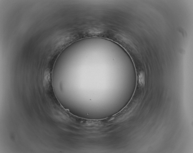 X0000113891299200910081759