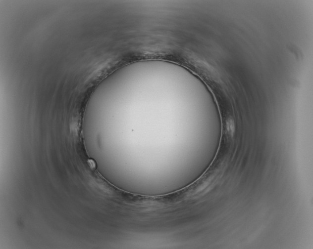 X0000113891300200910081759