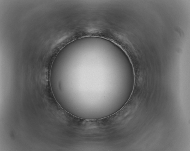 X0000113891301200910081759