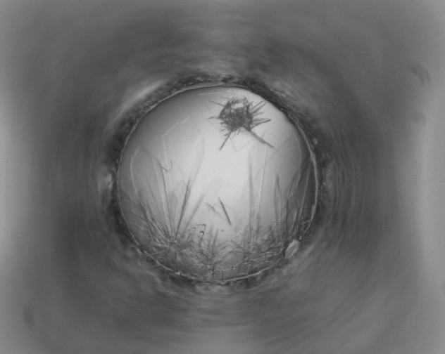 X0000113891302200910081759